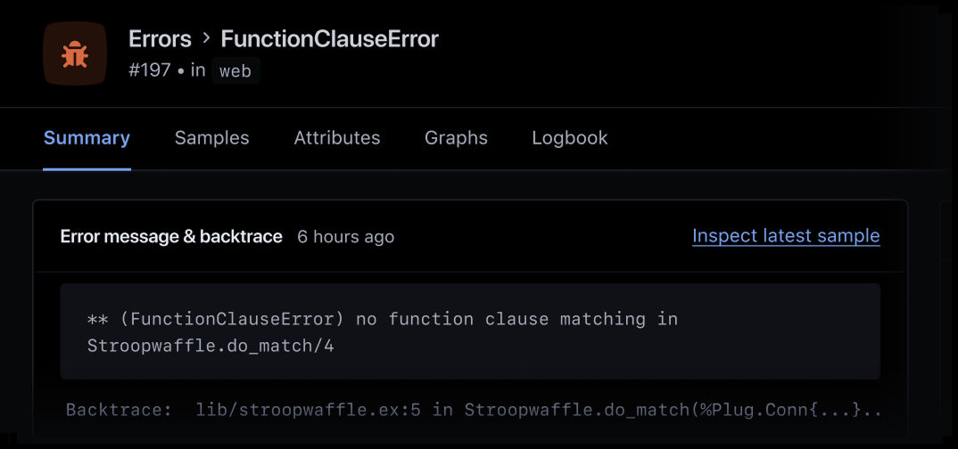Screenshot of Plug error incident in Appsignal.