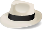 Logo for Sinatra monitoring